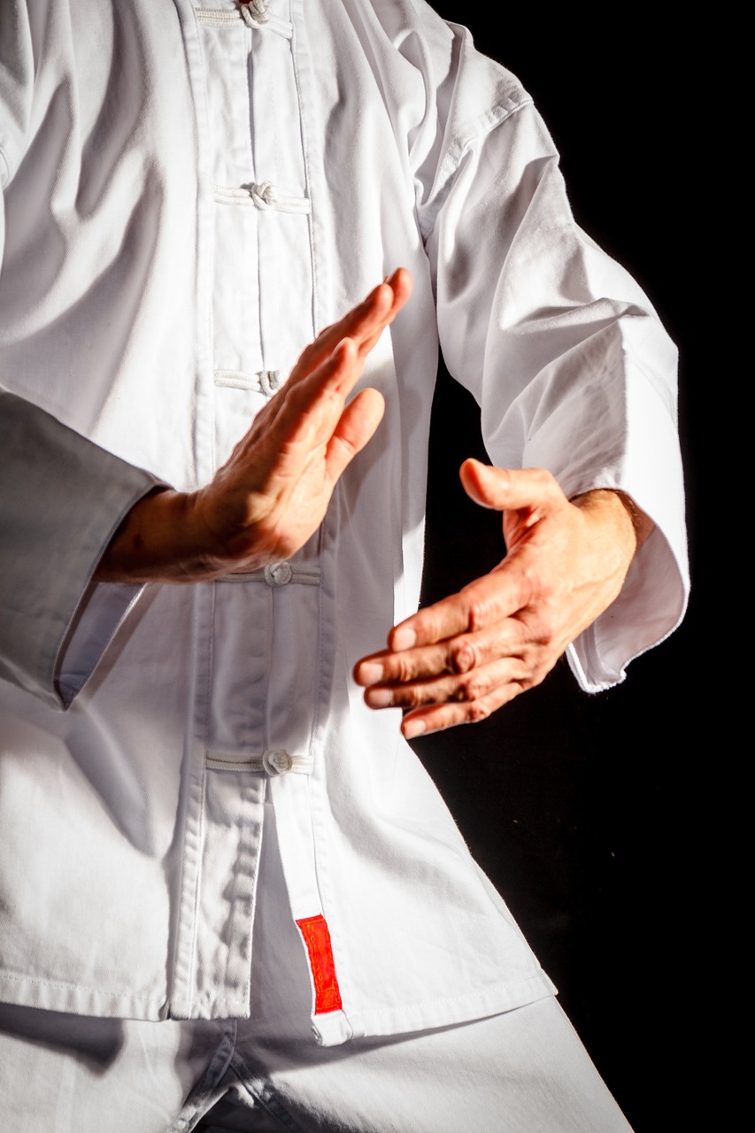 tai chi, taiji, taijiquan, martial arts, taiji hands, posture, health, qigong, hands, defense, sports, qi gong, kung fu, spirituality, fernöstlich, mentally, serenity, relaxation, quiet, beard, asian, man, tai chi, tai chi, tai chi, tai chi, tai chi, taiji, qigong, qigong, qi gong